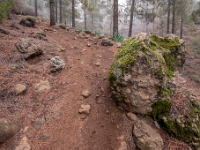 W drodze na Pico de Las Nieves